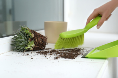 Woman sweeping away scattered soil from window sill with brush, closeup