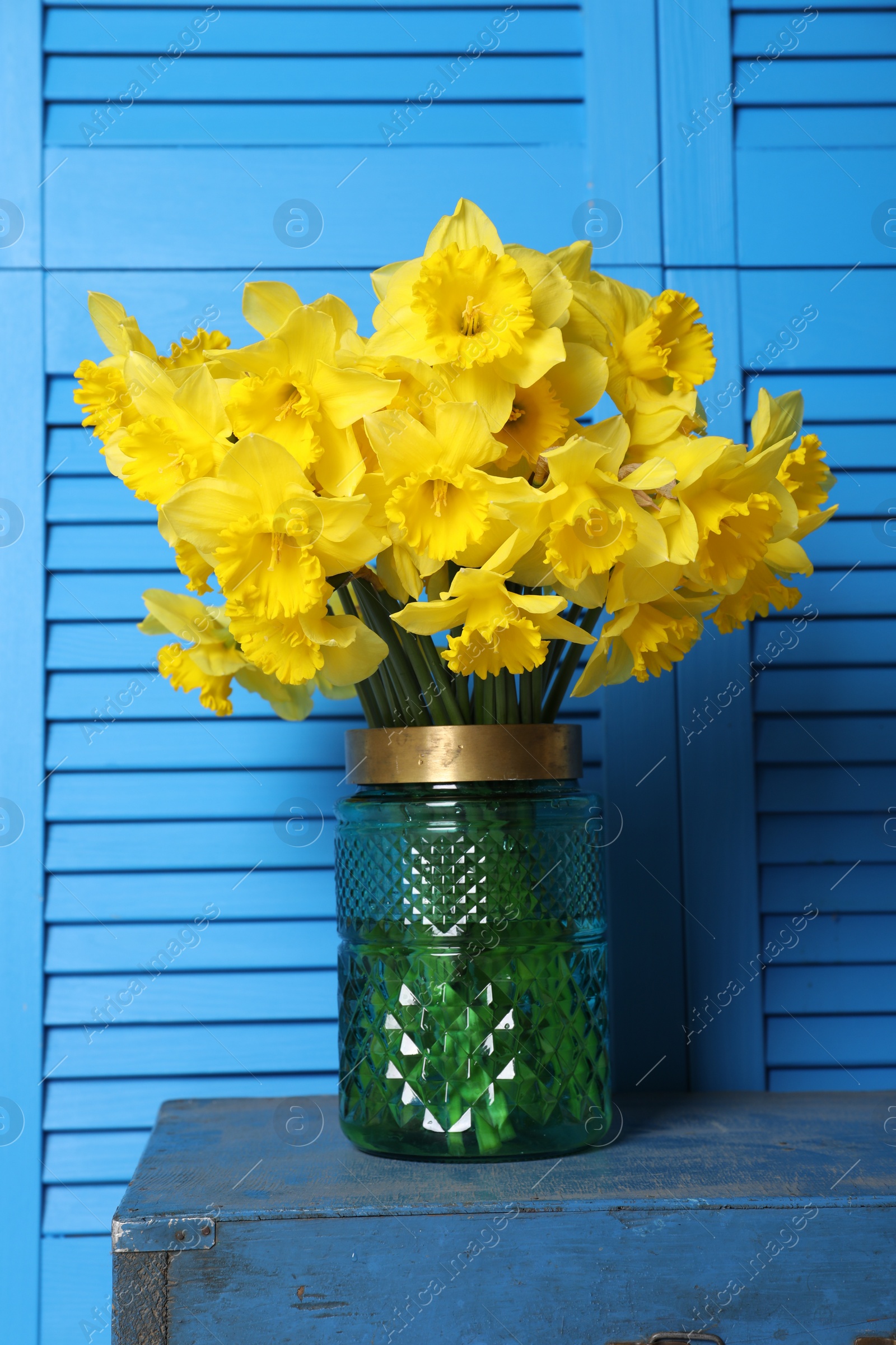 Photo of Vase with beautiful daffodils on wooden crate near light blue folding screen