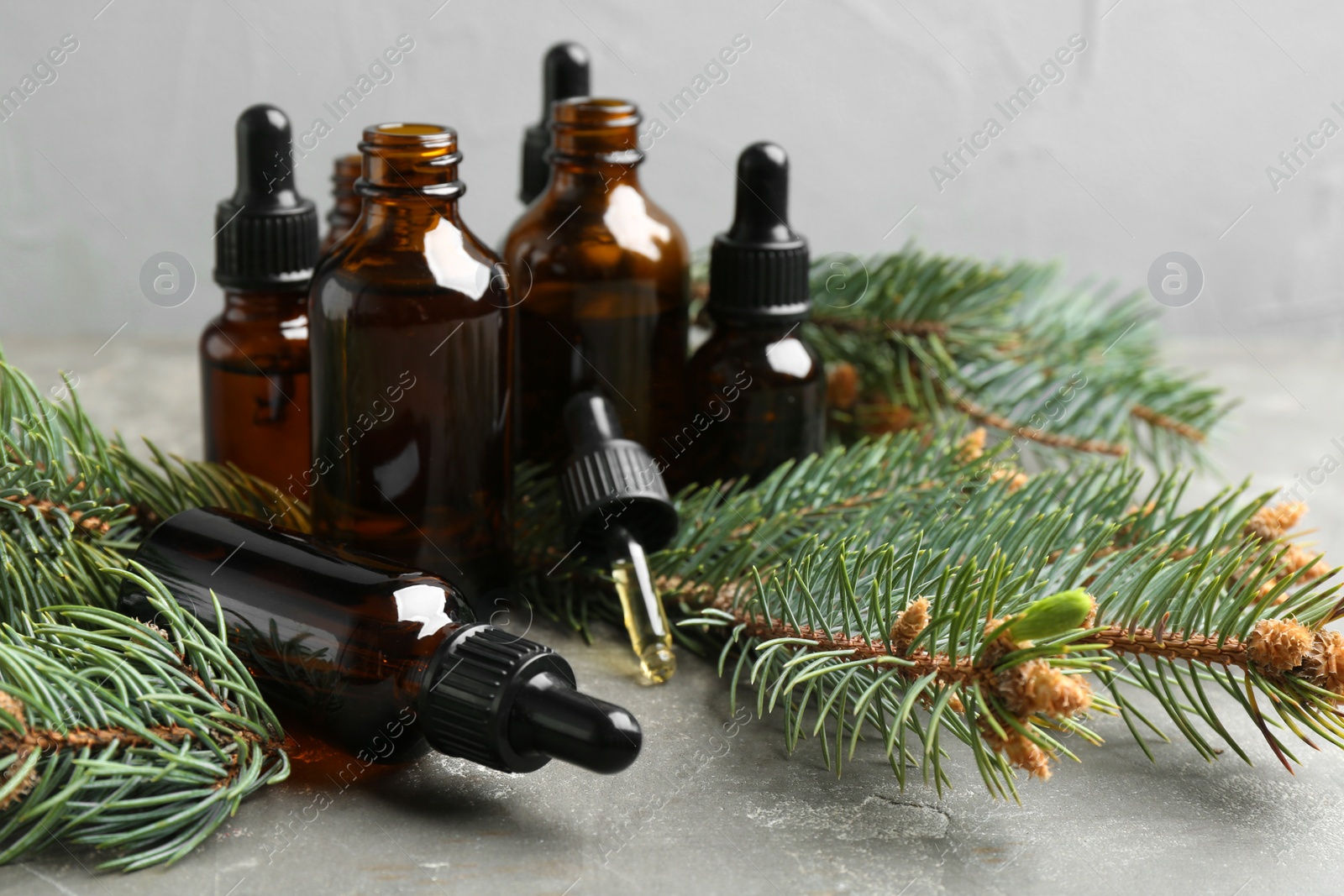 Photo of Composition with bottles of conifer essential oil on grey table