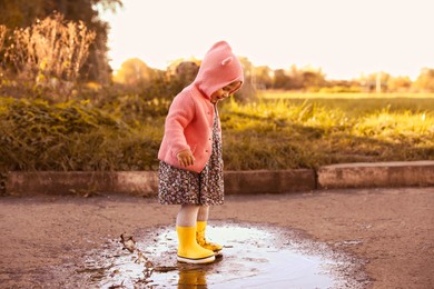 Photo of Little girl wearing rubber boots walking in puddle outdoors