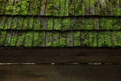 Old wooden roof covered with green moss