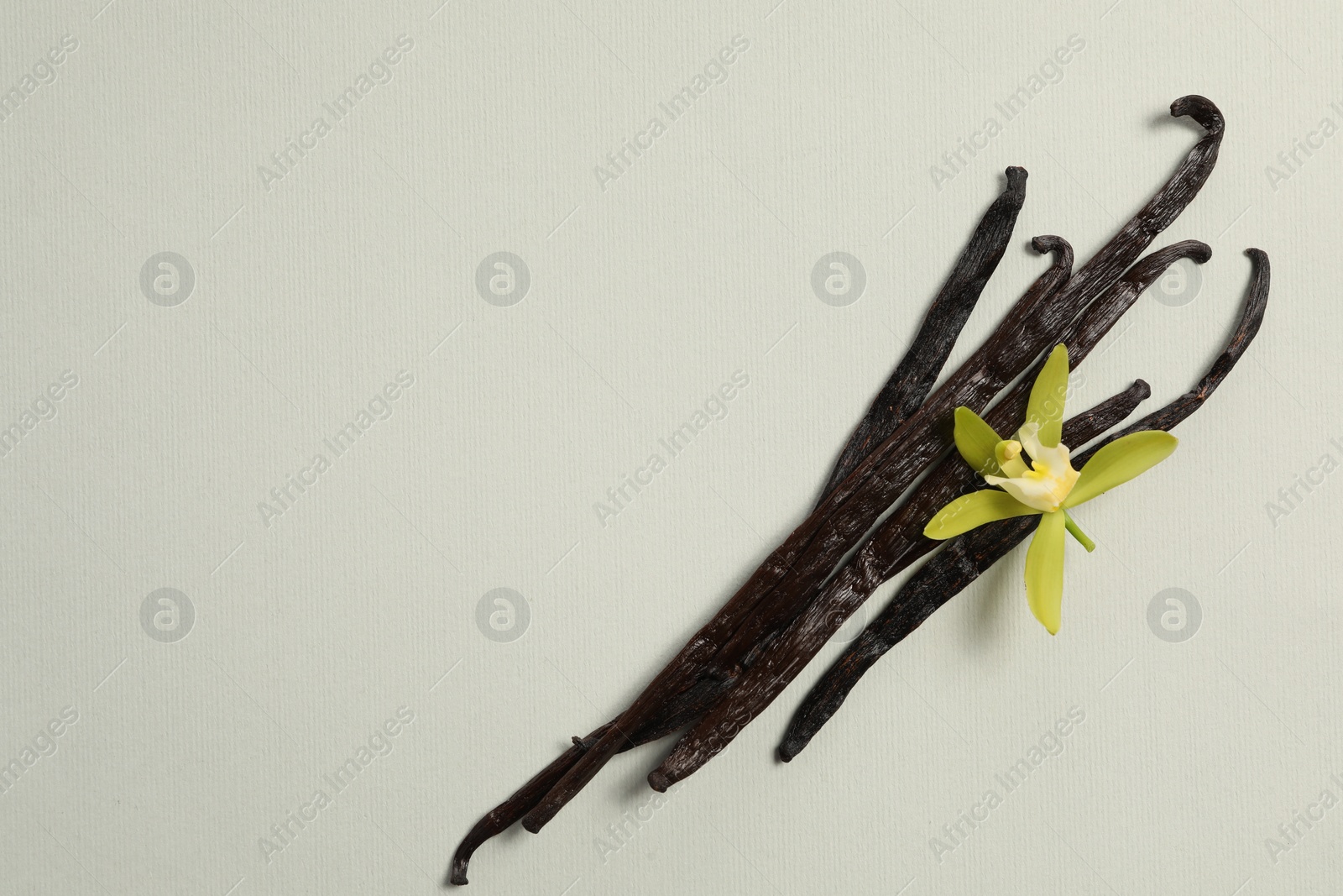 Photo of Vanilla pods and beautiful flower on light grey background, top view. Space for text