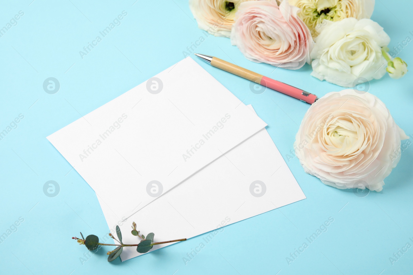 Photo of Composition with spring ranunculus flowers and cards on color background. Space for text