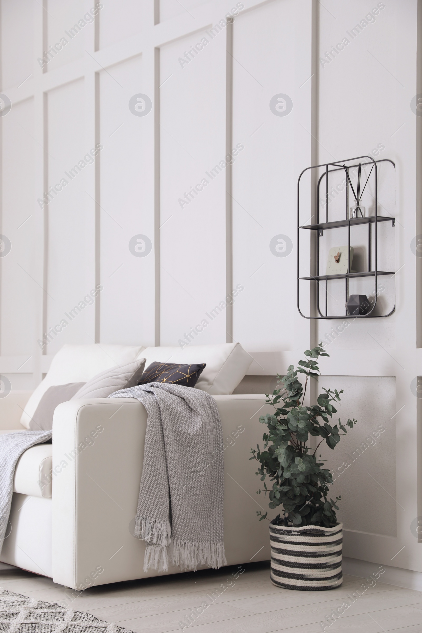 Photo of Living room with stylish sofa, beautiful eucalyptus and decorative elements. Interior design