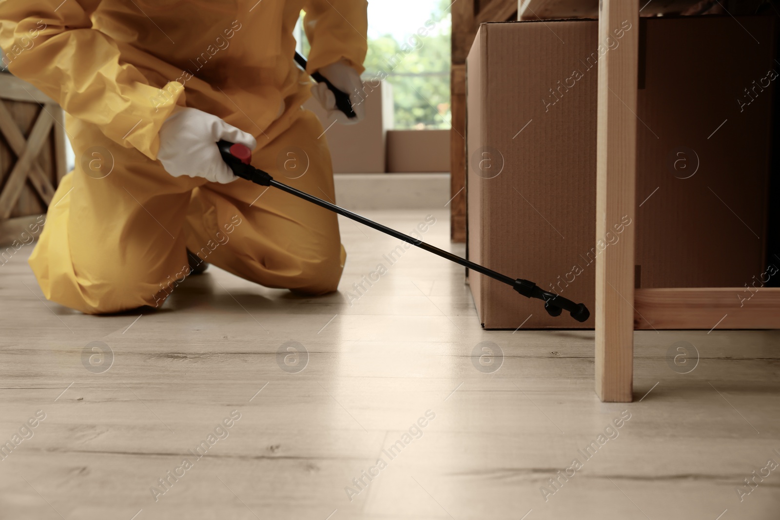 Photo of Pest control worker spraying pesticide indoors, closeup