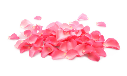 Photo of Pile of fresh pink rose petals on white background