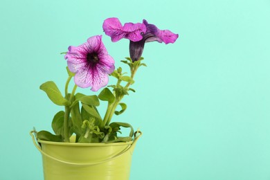 Photo of Beautiful petunia flowers in green pot against turquoise background, closeup. Space for text