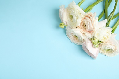 Photo of Ranunculus flowers and space for text on color background, above view