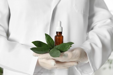 Lab assistant holding green twig and bottle of essential oil, closeup. Plant chemistry