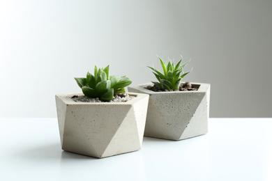 Photo of Succulent plants in concrete pots on white table