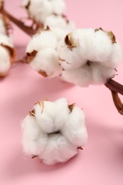 Photo of Beautiful cotton fluffy flowers on pink background, closeup