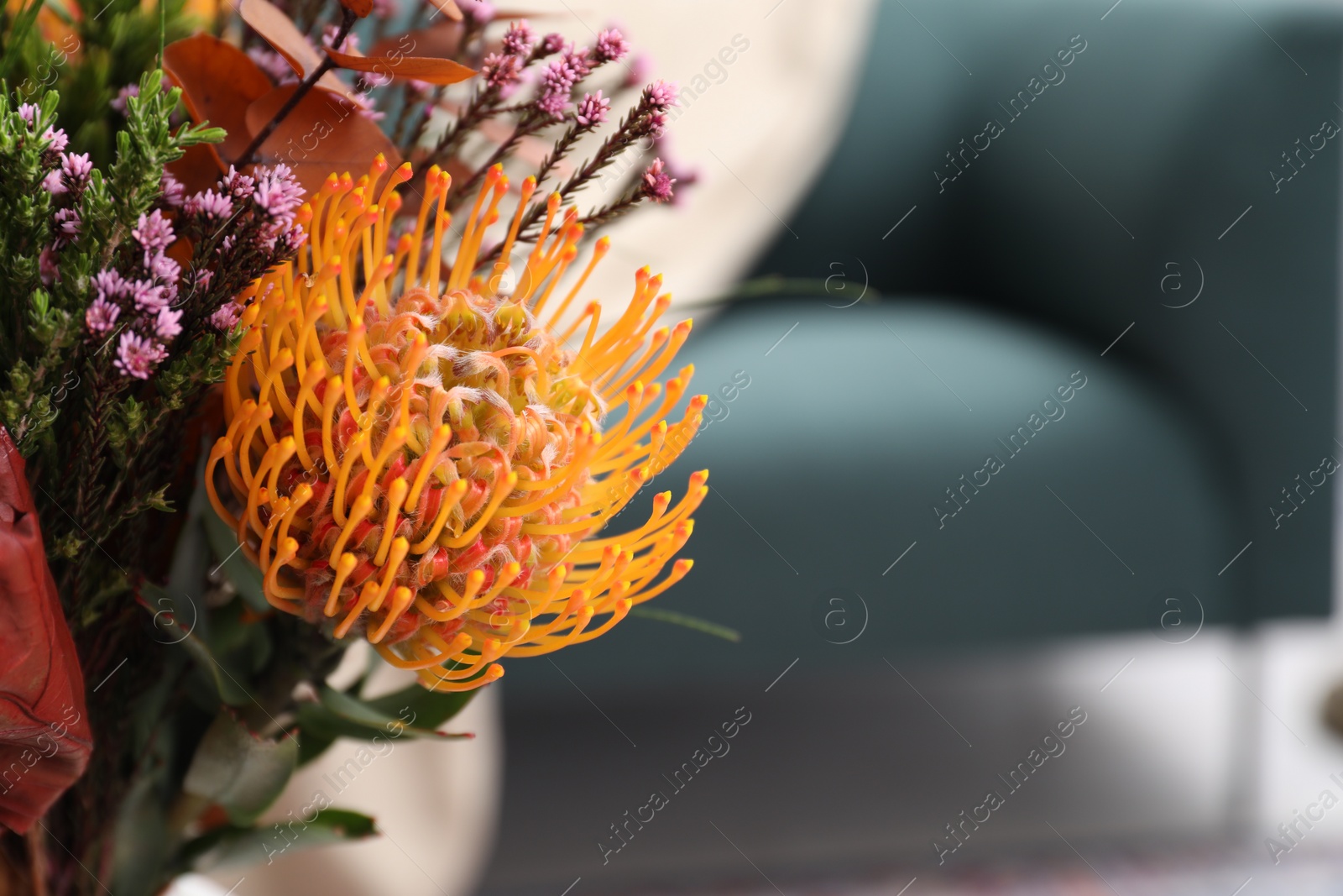 Photo of Bouquet of beautiful flowers in room, closeup. Space for text