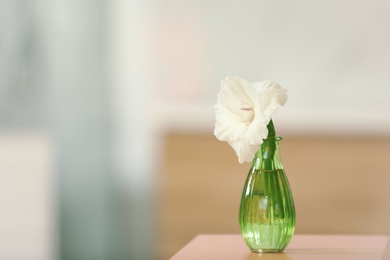 Vase with beautiful gladiolus flower on wooden table indoors. Space for text