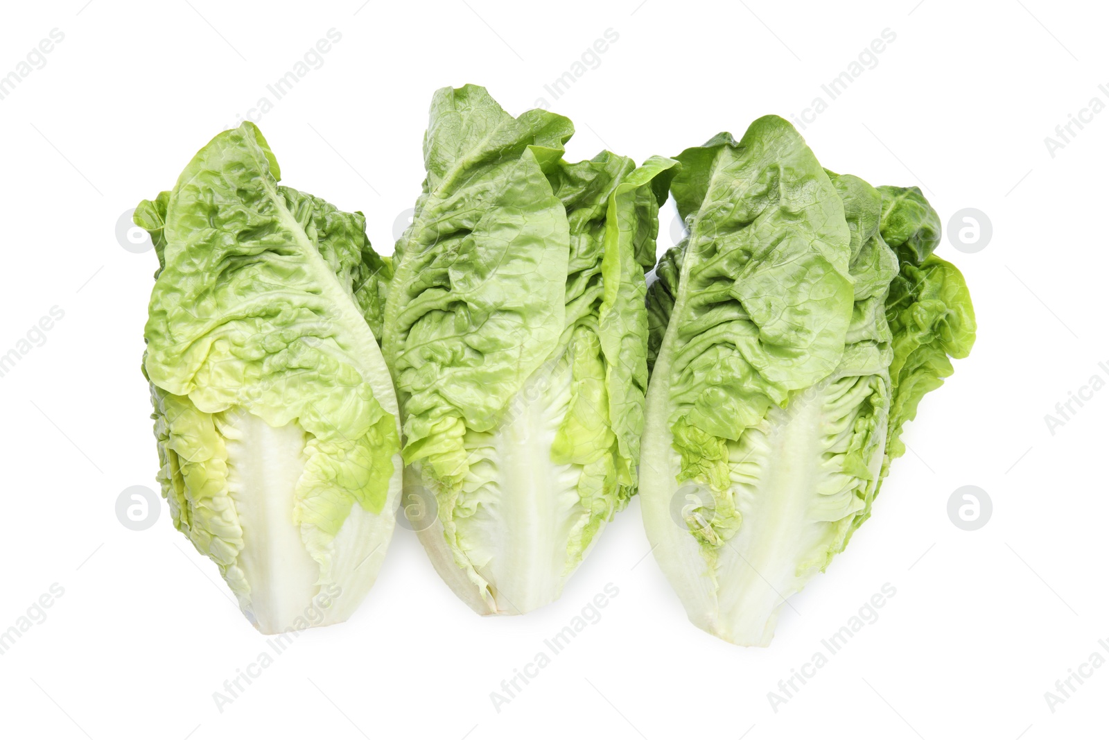 Photo of Fresh green romaine lettuces isolated on white, top view