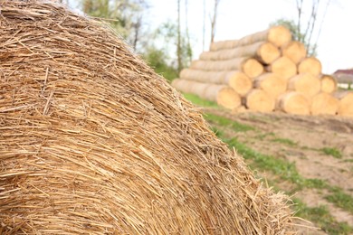 Photo of Big hay bale roll outdoors on spring day, closeup view