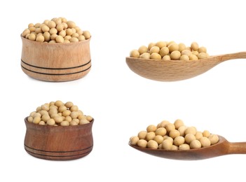 Image of Set with soya beans on white background 