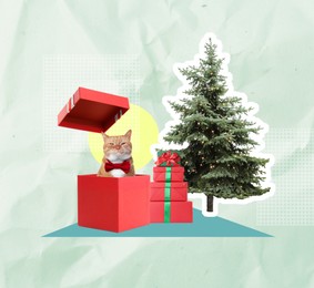 Christmas art collage. Cute red cat popping out from gift box near fir tree on color background
