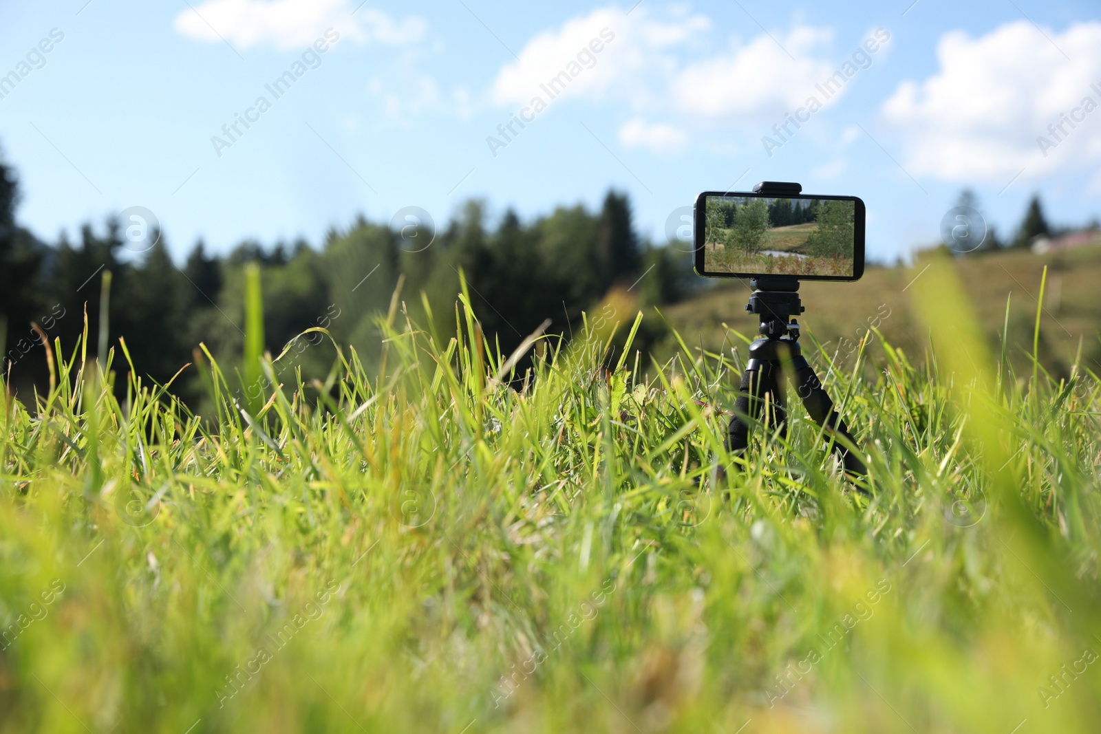Photo of Taking photo of beautiful landscape with smartphone mounted on tripod outdoors, space for text