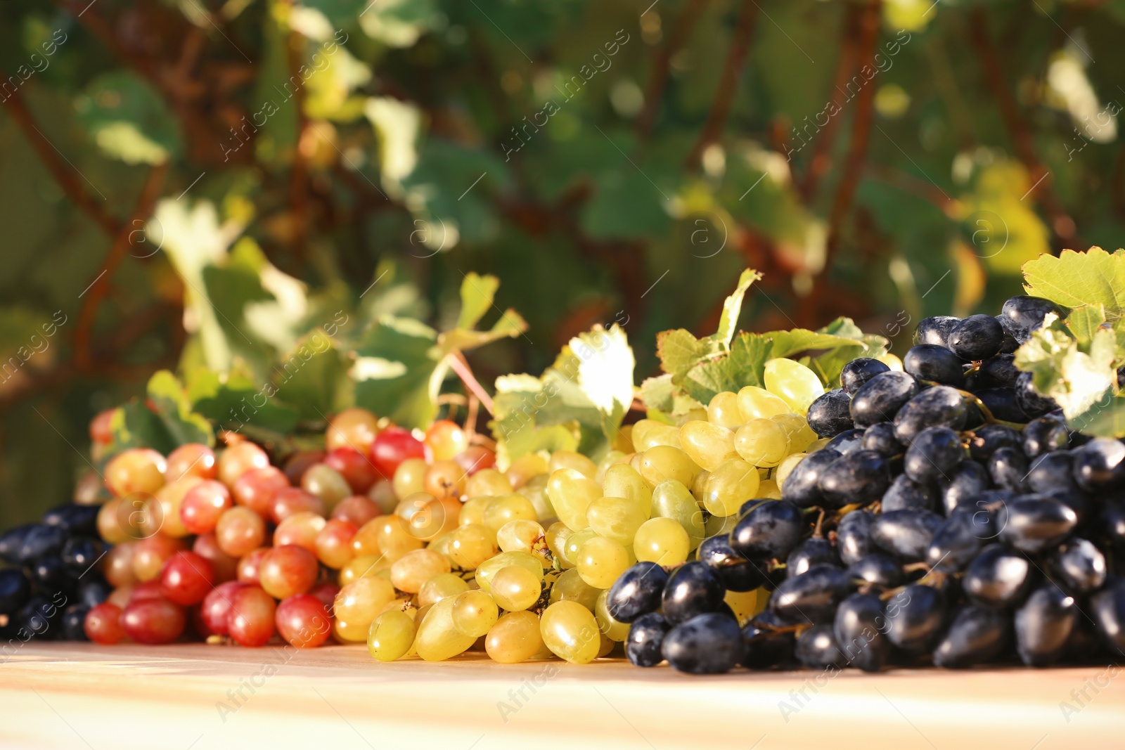 Photo of Fresh ripe juicy grapes on table against blurred background