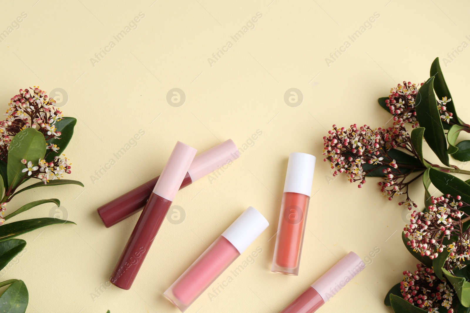 Photo of Different lip glosses and flowers on pale yellow background, flat lay