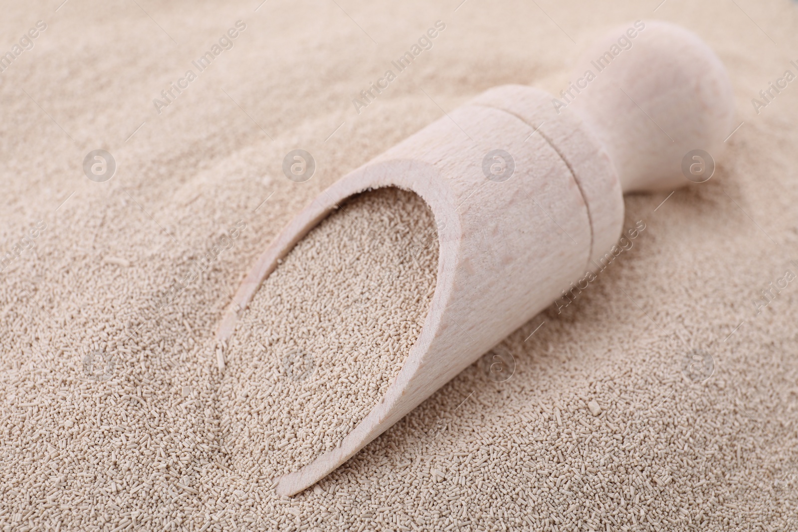 Photo of Scoop on pile of active dry yeast, closeup