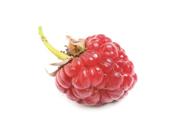 Delicious fresh ripe raspberry isolated on white