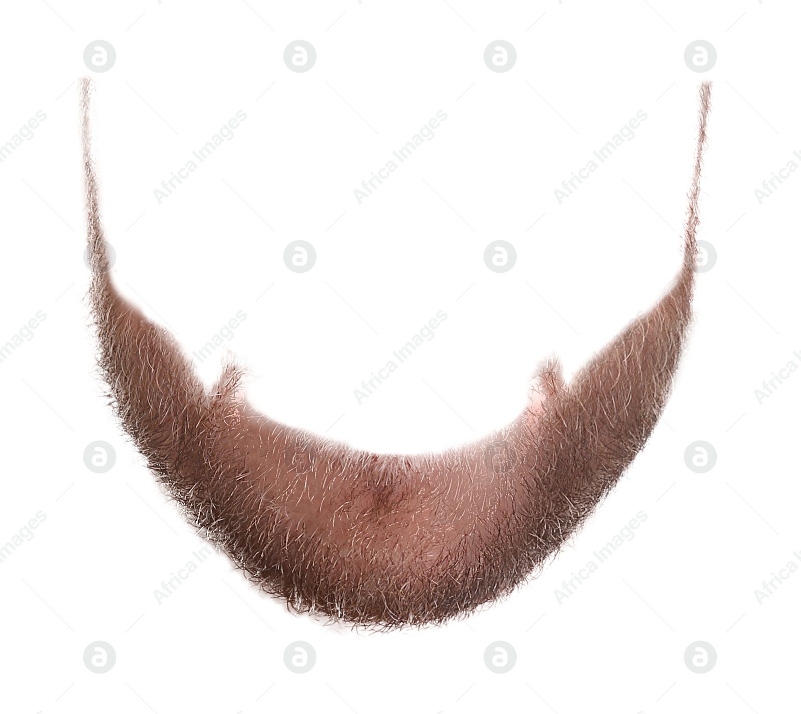 Image of Stylish beard isolated on white. Facial hair