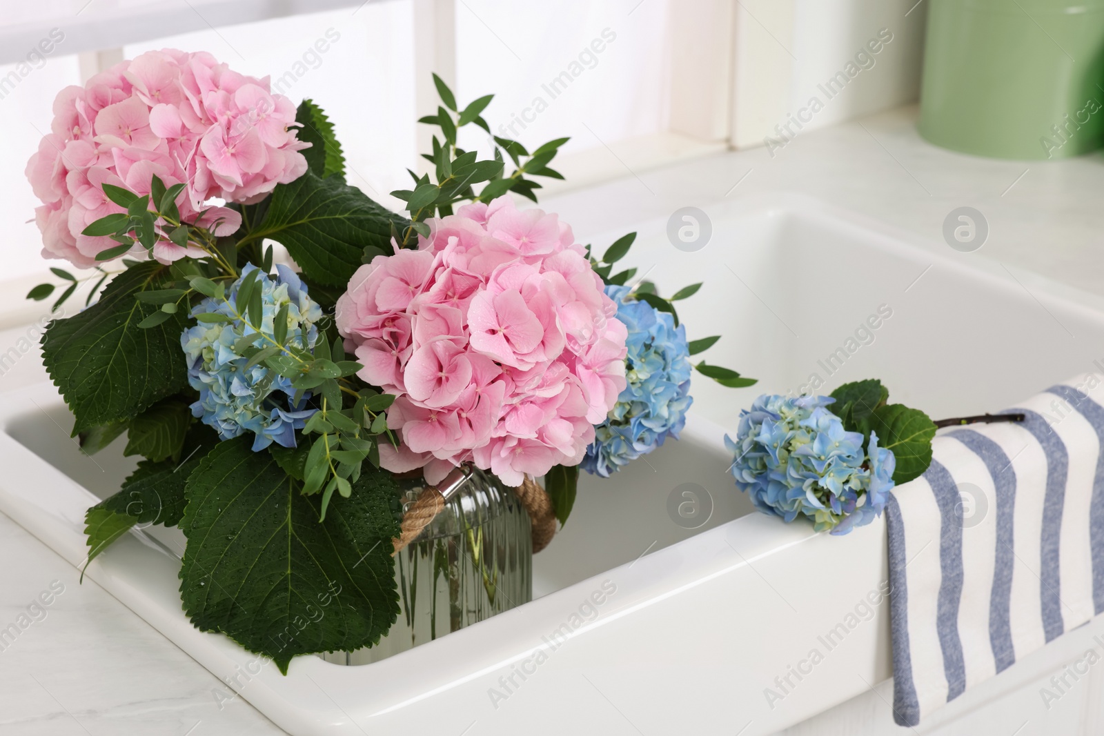 Photo of Vase with beautiful hortensia flowers in kitchen sink