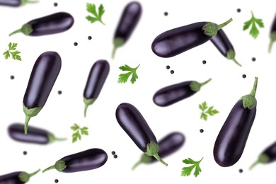 Image of Fresh whole eggplants, parsley and peppercorns falling on white background