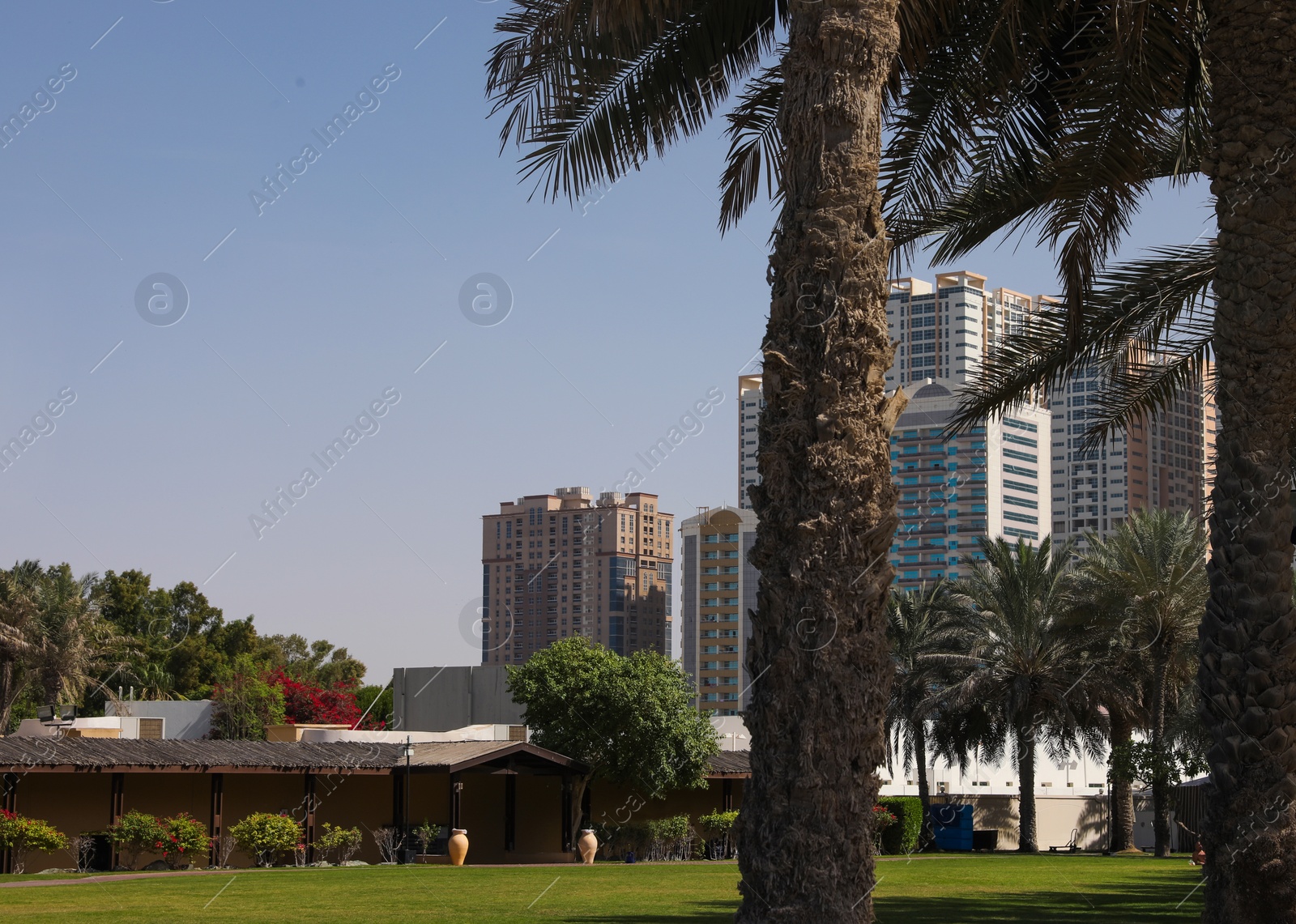 Photo of Beautiful view of tropical resort on sunny day