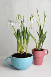 Photo of Beautiful snowdrops planted in cups on white wooden table