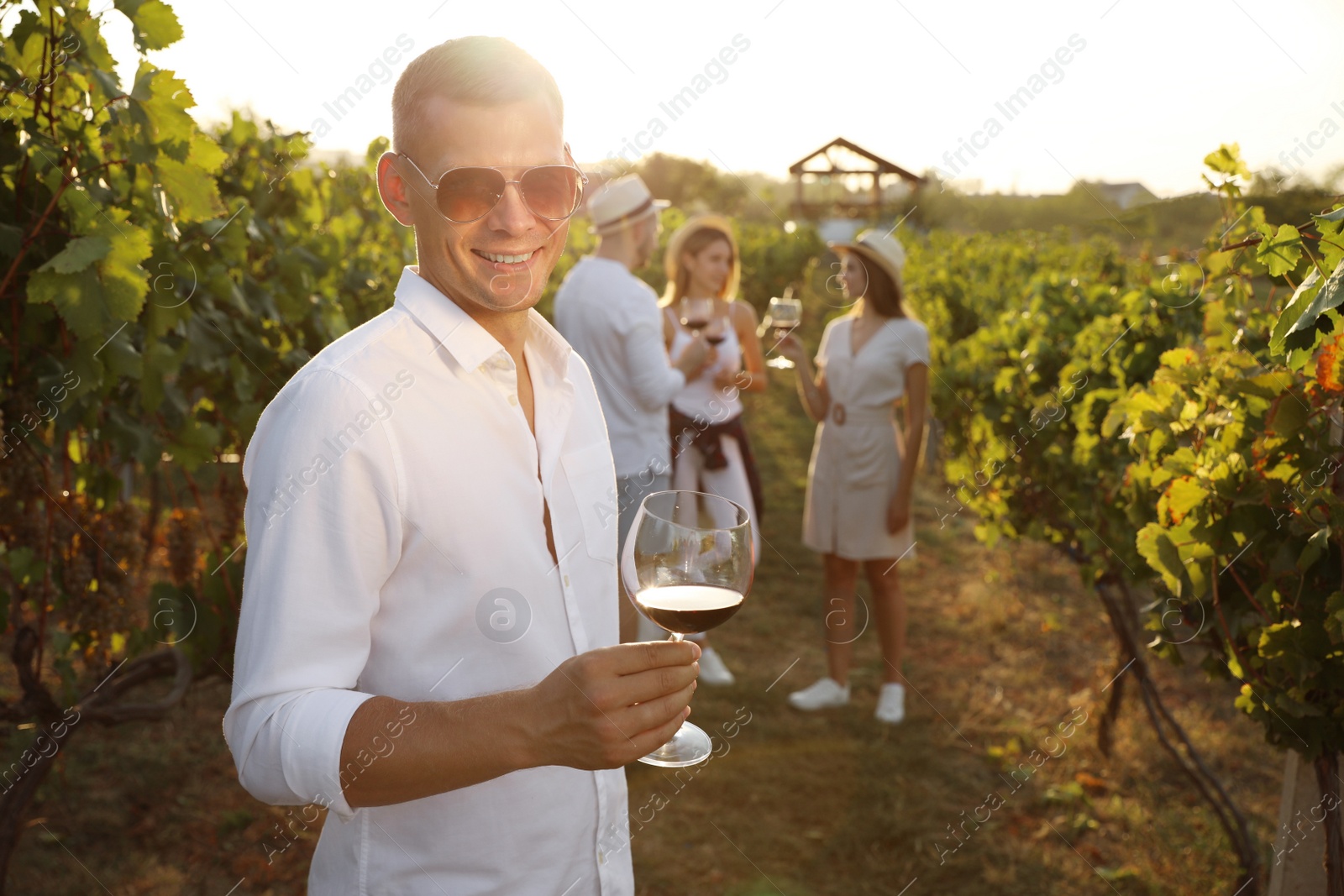 Photo of Handsome man with glass of wine and his friends in vineyard