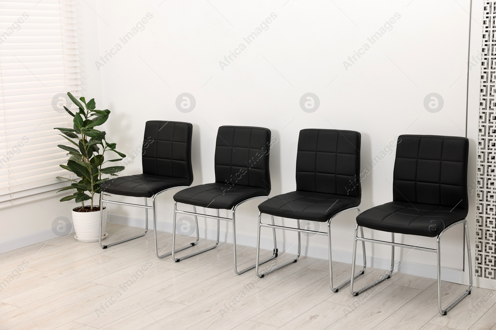 Photo of Many chairs near white wall in waiting area indoors