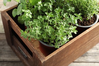 Photo of Crate with different potted herbs on wooden table, closeup