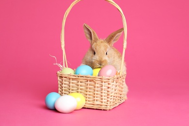 Photo of Adorable furry Easter bunny near wicker basket with dyed eggs on color background