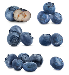 Image of Set of fresh ripe blueberries on white background