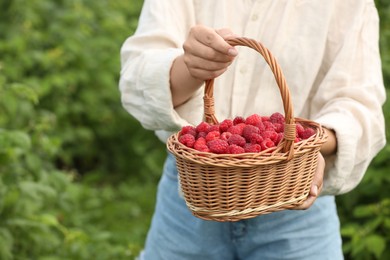 Woman holding wicker basket with ripe raspberries outdoors, closeup. Space for text