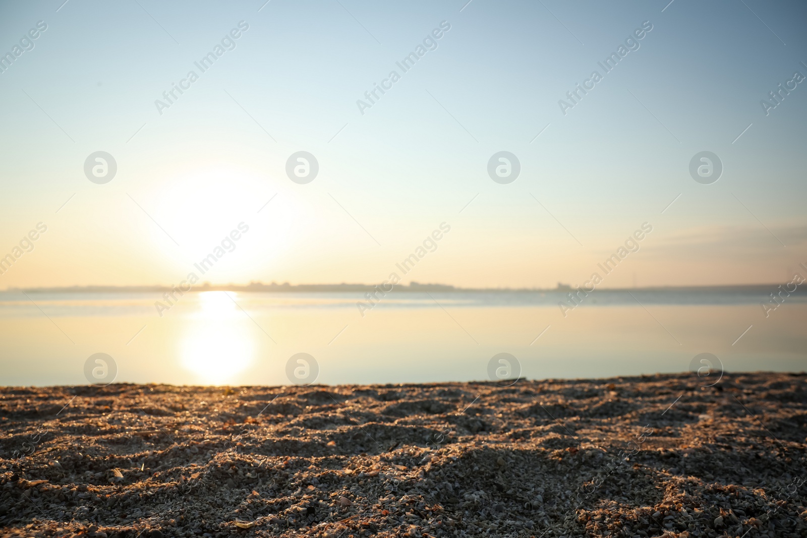 Photo of Beautiful view of riverside at sunrise. Early morning landscape