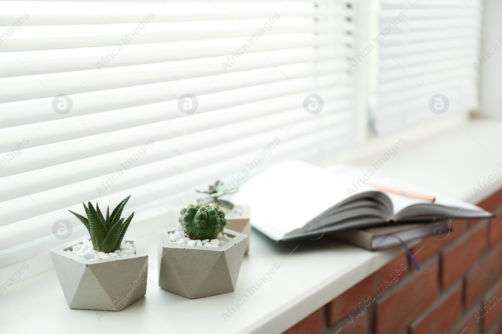 Photo of Window with blinds and potted plants on sill, space for text