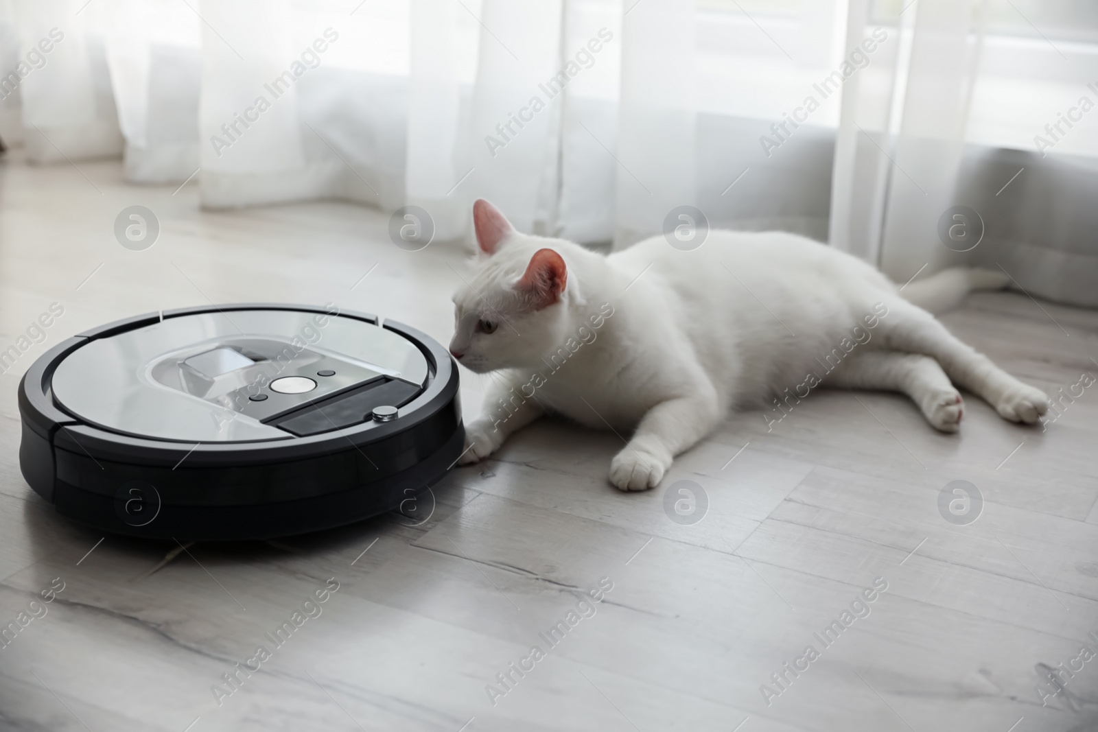 Photo of Modern robotic vacuum cleaner and cute cat on floor indoors