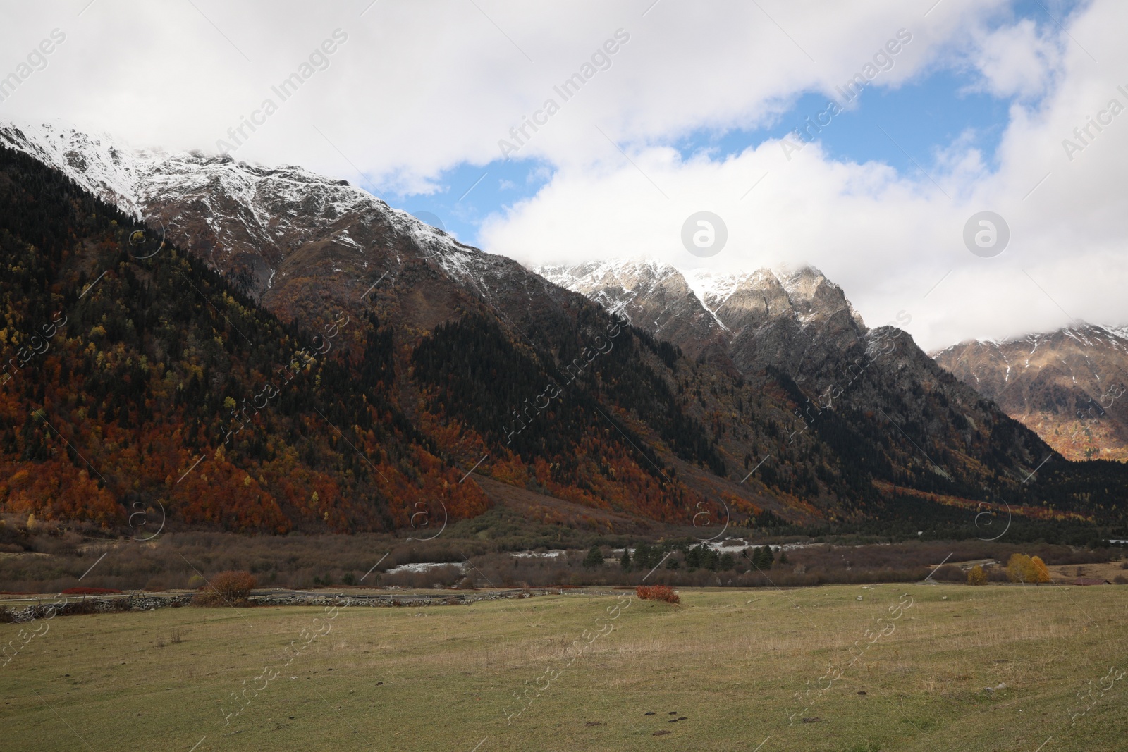 Photo of Picturesque view of mountain landscape with forest and meadow on autumn day