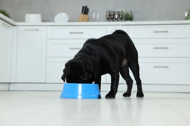 Photo of Cute Pug dog eating from plastic bowl in kitchen