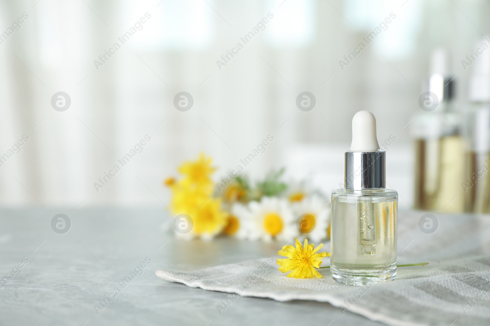 Photo of Bottle of essential oil and wild flower on table, space for text