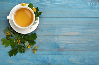 Photo of Cup of aromatic celandine tea and flowers on light blue wooden table, flat lay. Space for text