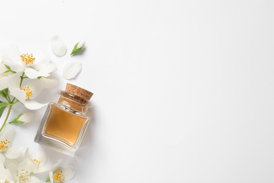 Photo of Jasmine essential and fresh flowers on white background, top view