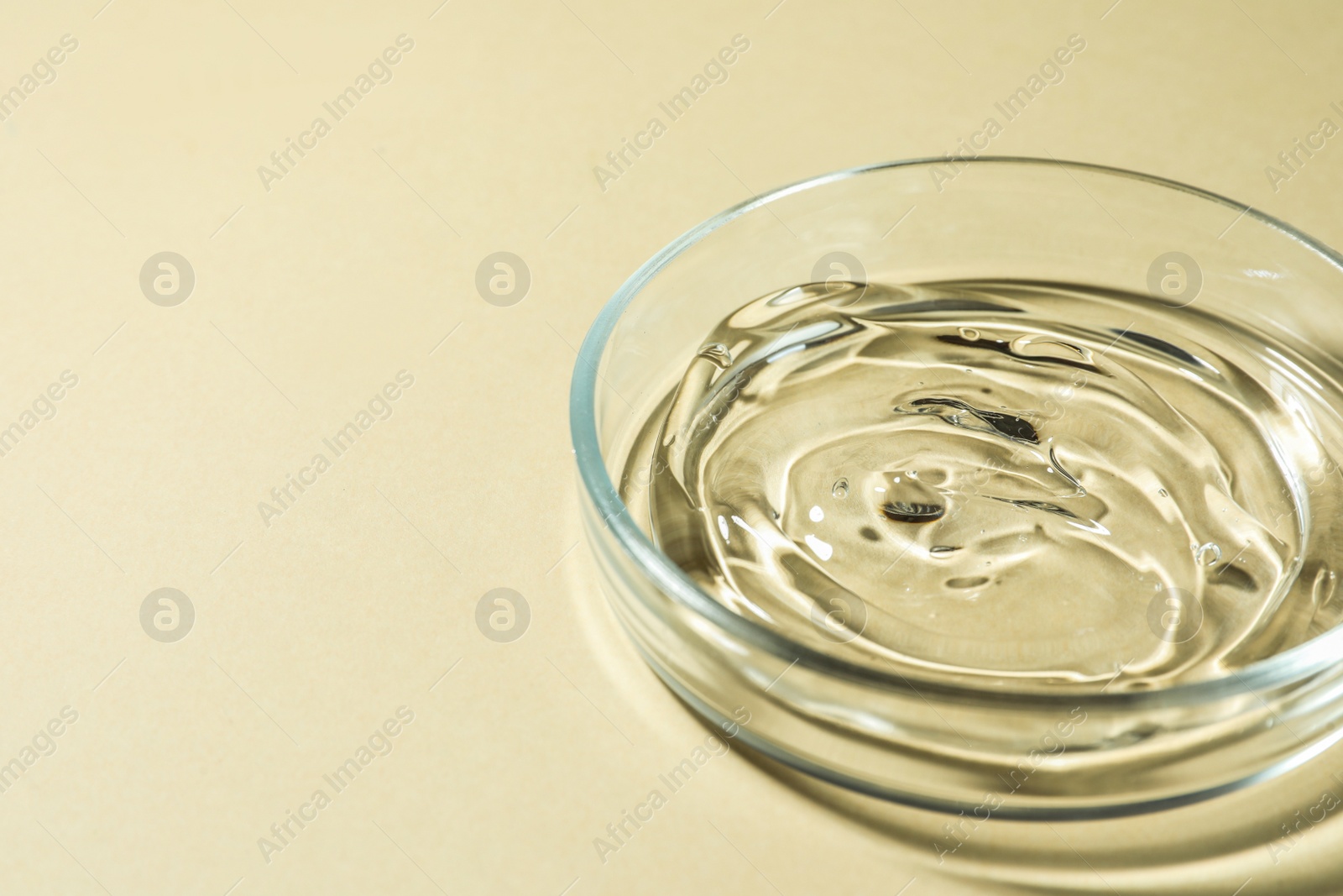 Photo of Petri dish with liquid on beige background, closeup. Space for text