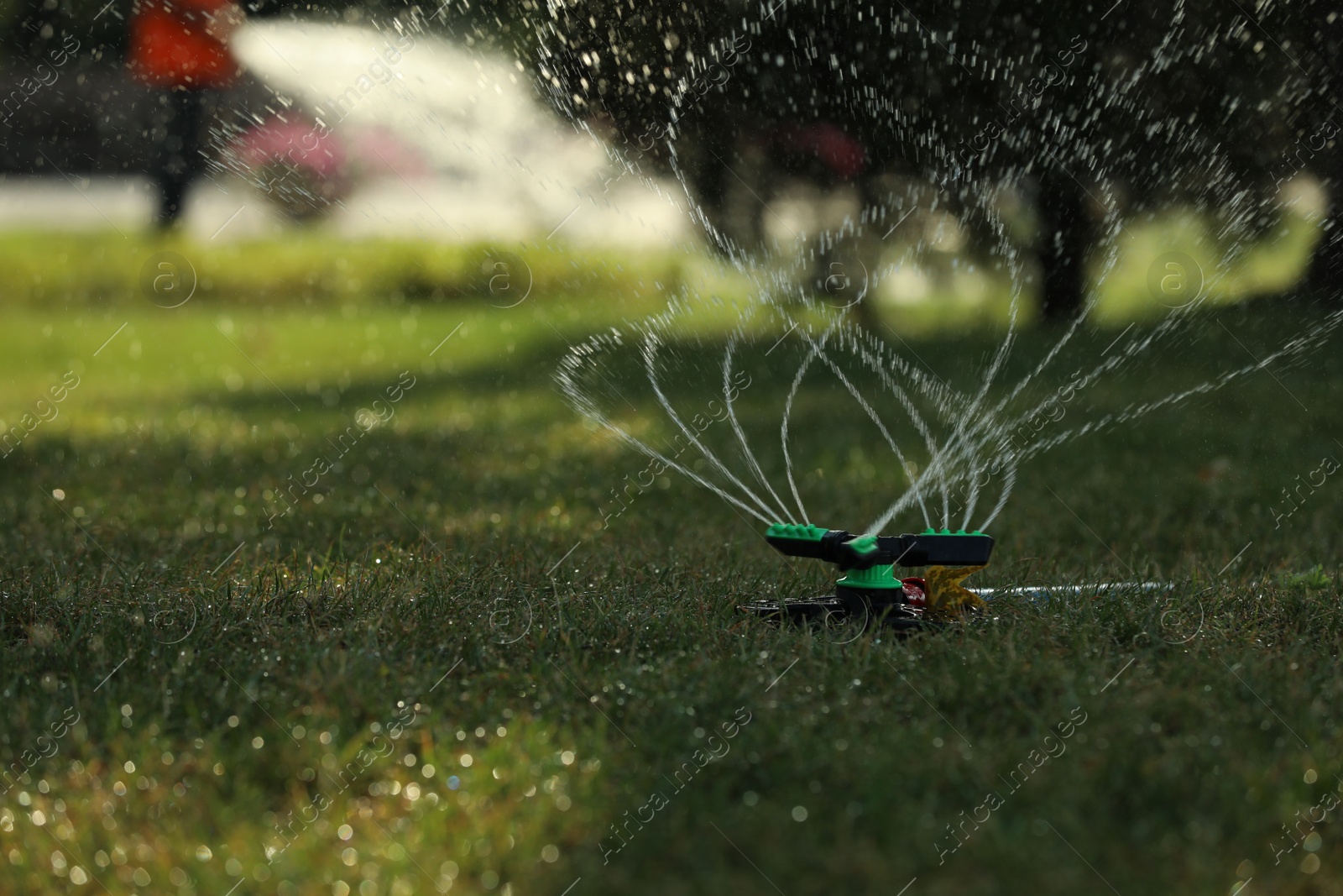 Photo of Automatic sprinkler watering green grass in park. Irrigation system