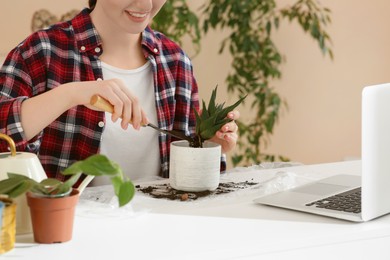 Photo of Woman taking care of plant following online gardening course at home, closeup. Time for hobby