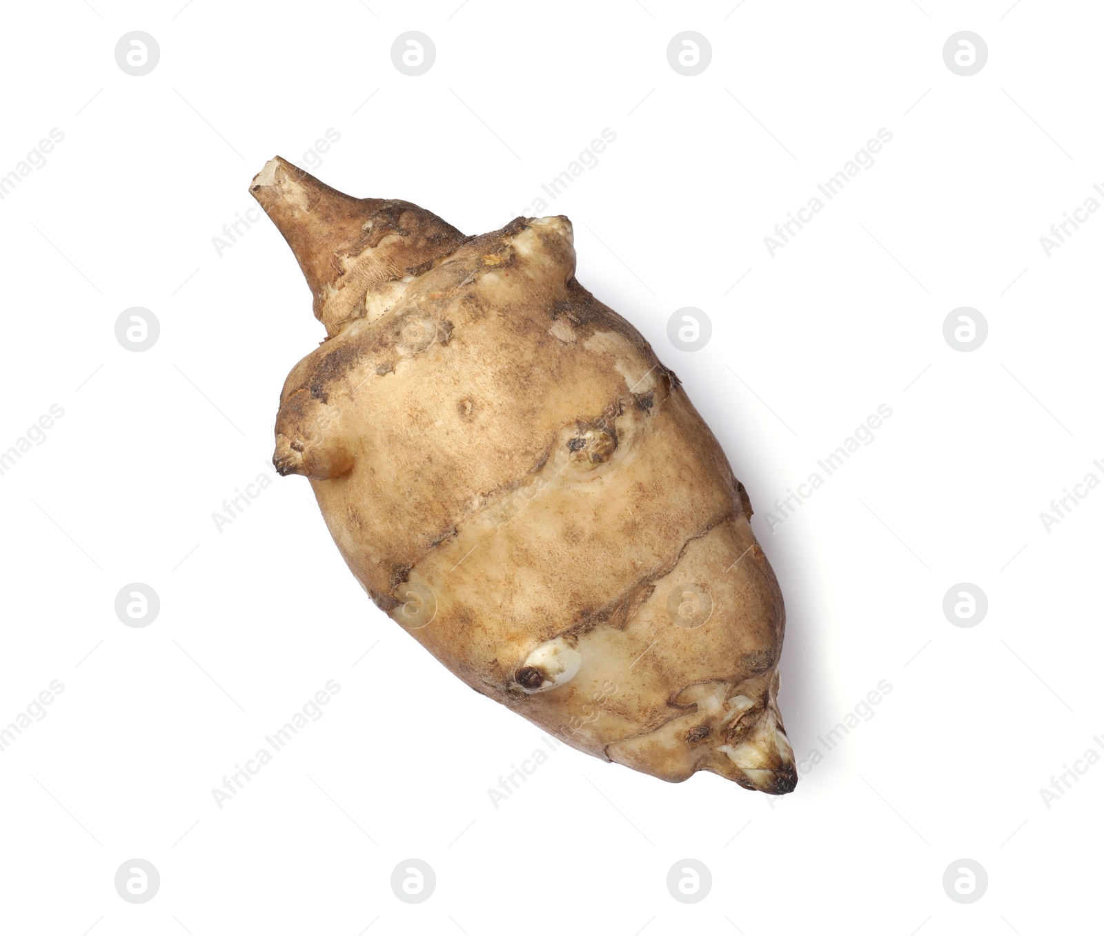 Photo of One raw Jerusalem artichoke isolated on white