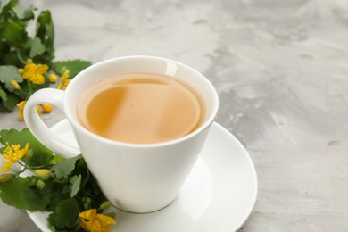 Cup of aromatic celandine tea and flowers on grey table, closeup